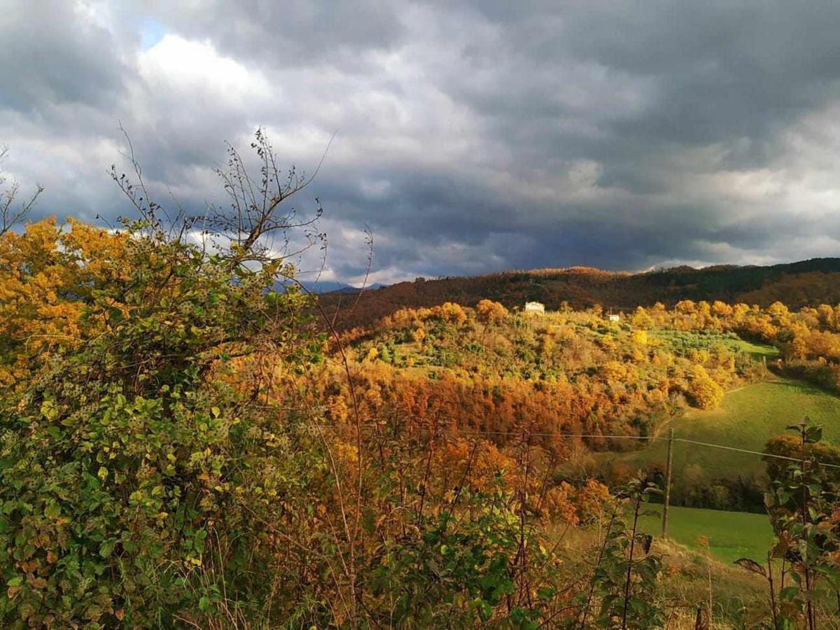 Agriturismo Montesalce Villa Gubbio Exteriör bild